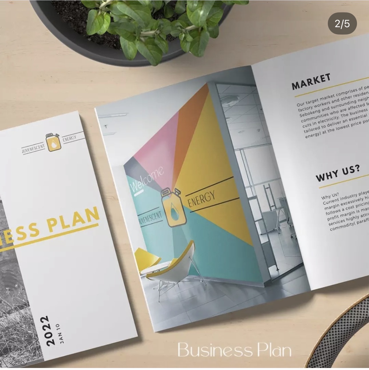 Professional business plan document